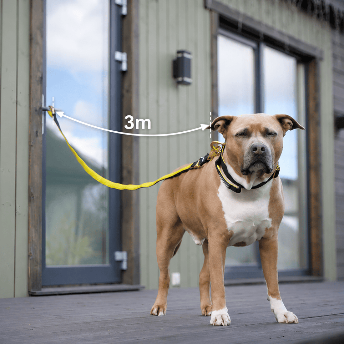 3m combat swivel dog lead