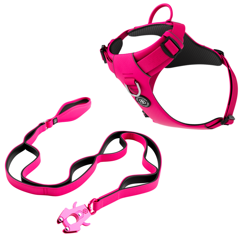 Air Harness & Ladder Combat Lead Bundle - Carminerose