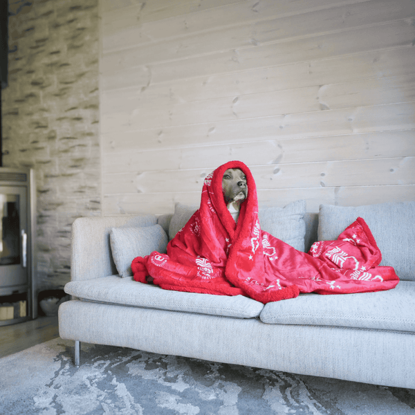 Nottingham Forest Edition | Luxury Dog & Human Blanket