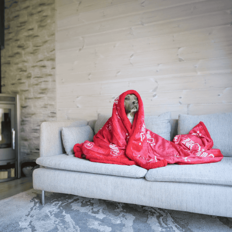 Nottingham Forest Edition | Luxury Dog & Human Blanket