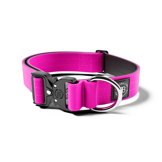 4cm Combat® Collar | No Handle & Secured Clip - Magenta