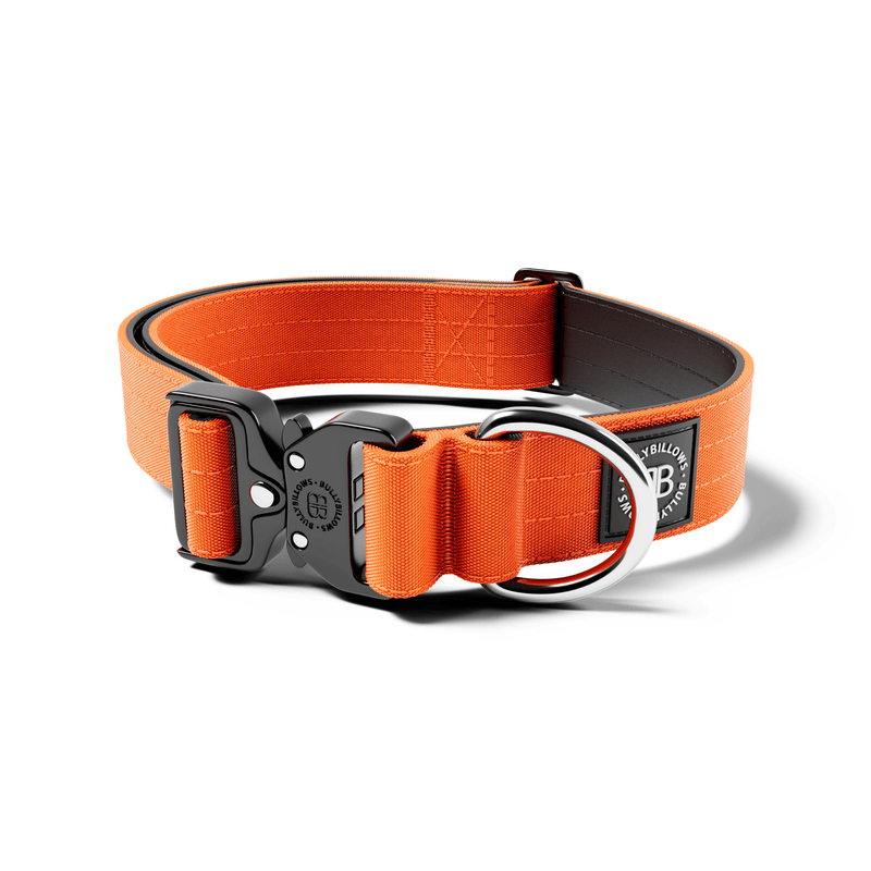4cm Combat® Collar | Rated Clip - NO HANDLE - Orange