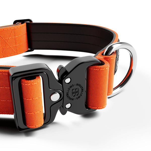 4cm Combat® Collar | Rated Clip - NO HANDLE - Orange
