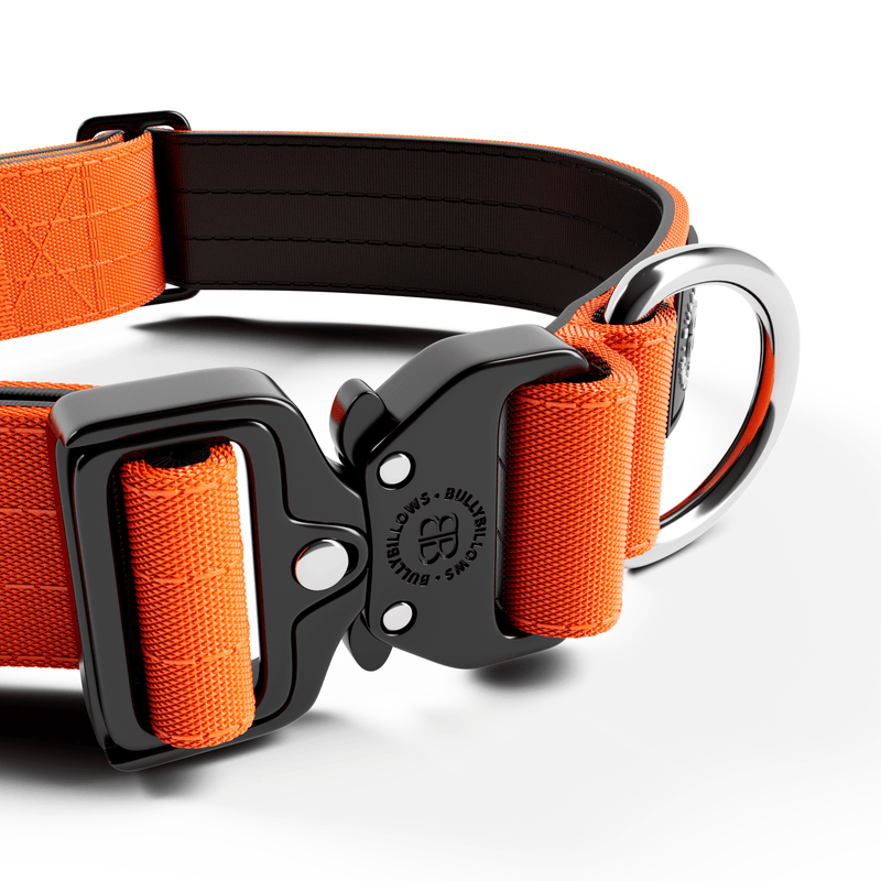 4cm Combat® Collar | Rated Clip - NO HANDLE - Orange