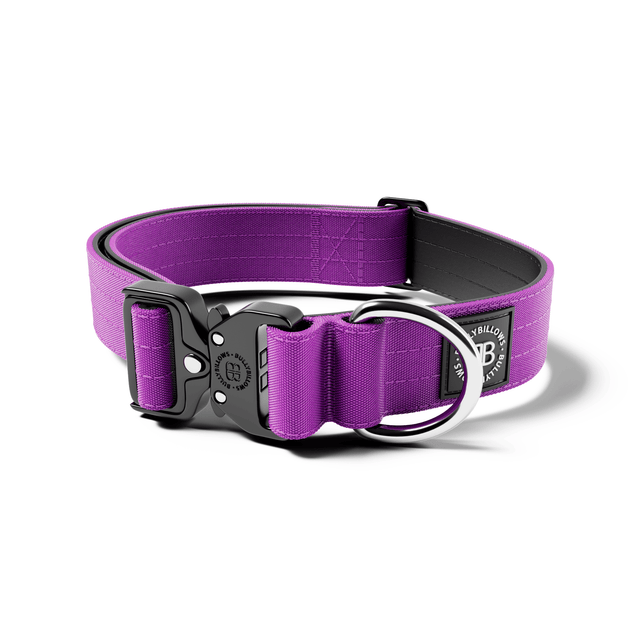 4cm Combat® Collar | No Handle & Secured Clip - Purple