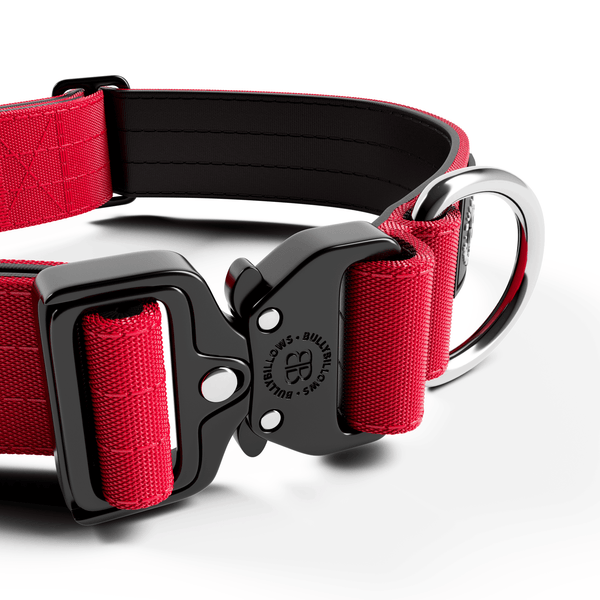4cm Combat® Collar | Rated Clip - NO HANDLE - Red