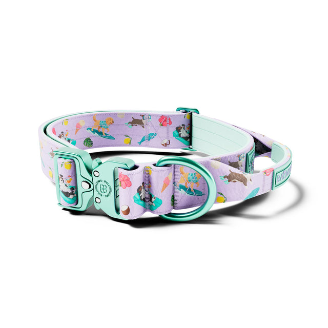4cm Lighter Combat® Collar | With Handle & Secure Clip - BalmyBillows Purple