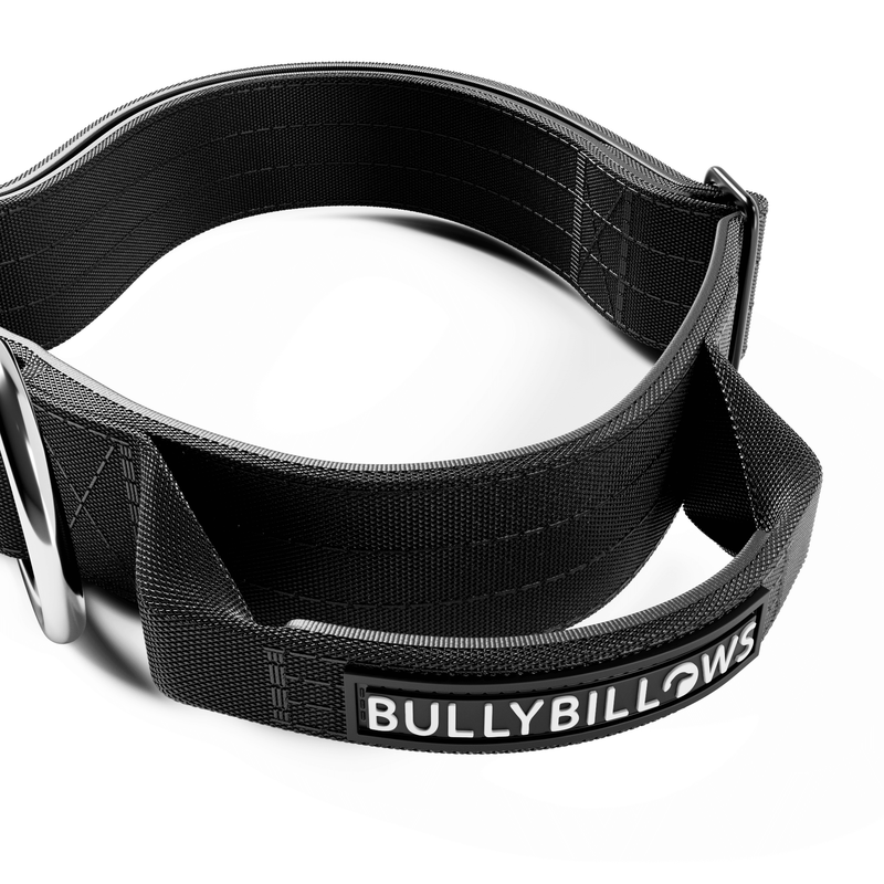 4cm Combat® Collar | Handle & Rated Clip - Black