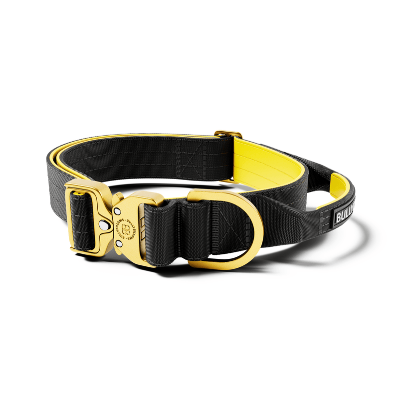 4cm LIGHTER Combat® Collar | With Handle Rated Clip - Black, Yellow & Gold