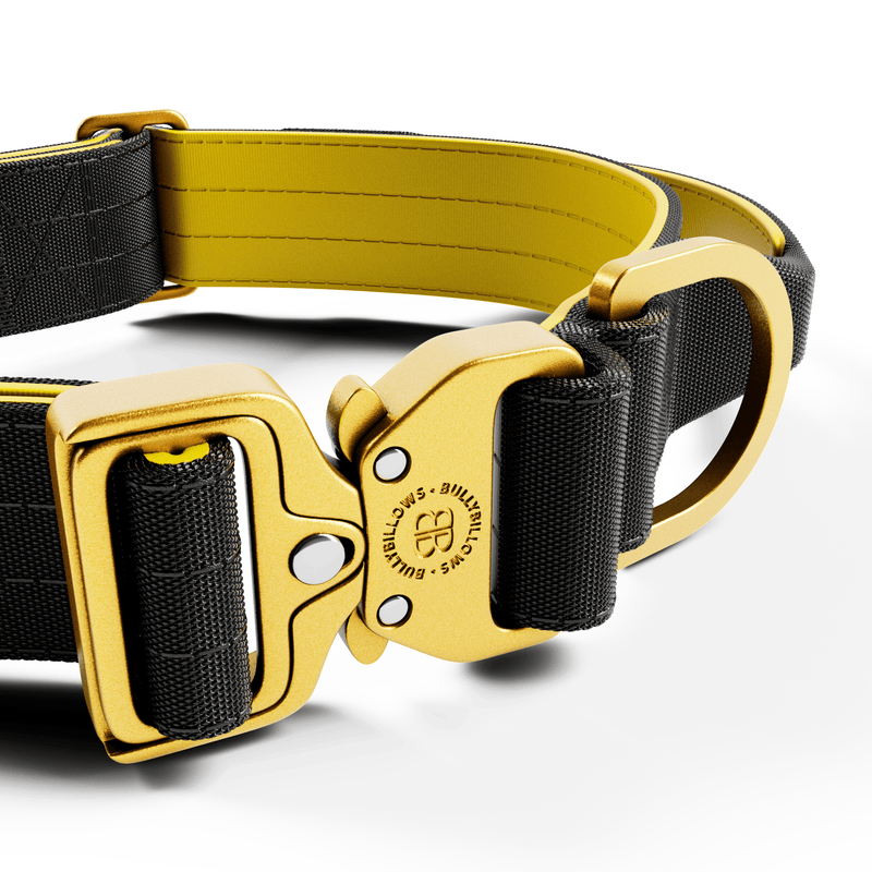 4cm LIGHTER Combat® Collar | With Handle Rated Clip - Black, Yellow & Gold
