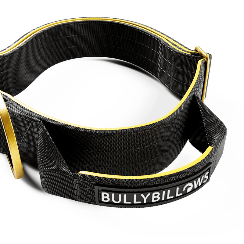 4cm LIGHTER Combat® Collar | Handle Rated Clip - Black, Yellow & Gold