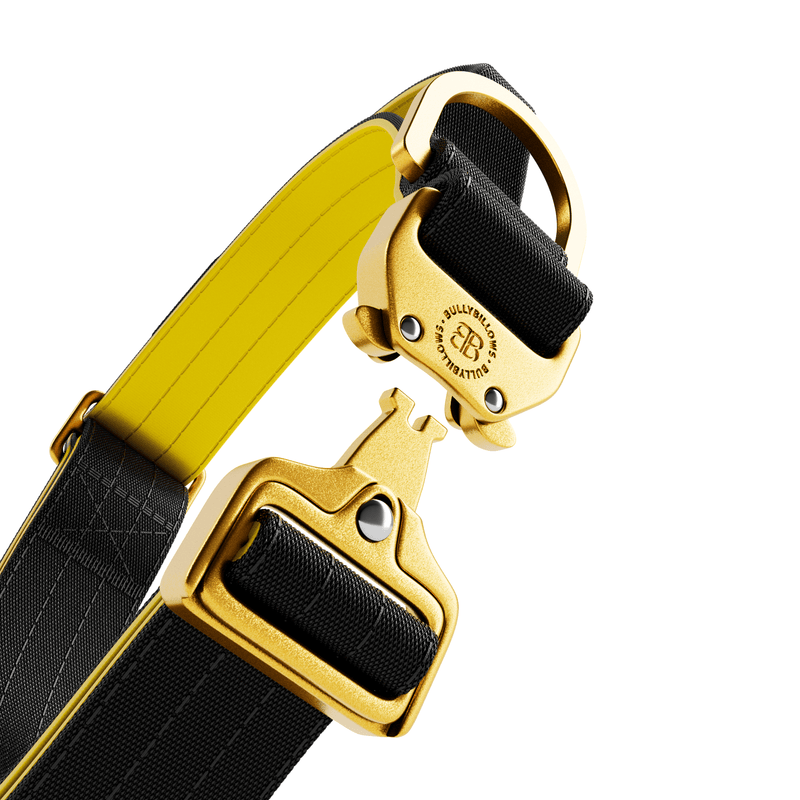 4cm LIGHTER Combat® Collar | Handle Rated Clip - Black, Yellow & Gold