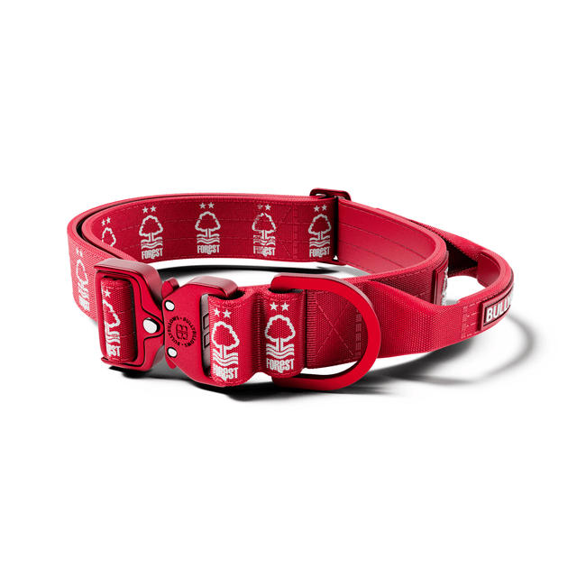 4cm LIGHTER Combat® Collar | With Handle & Secure Clip - Nottingham Forest
