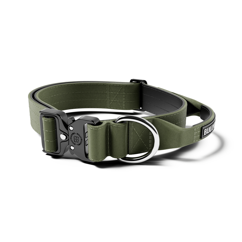 4cm Combat® Collar | Handle & Rated Clip -  Khaki