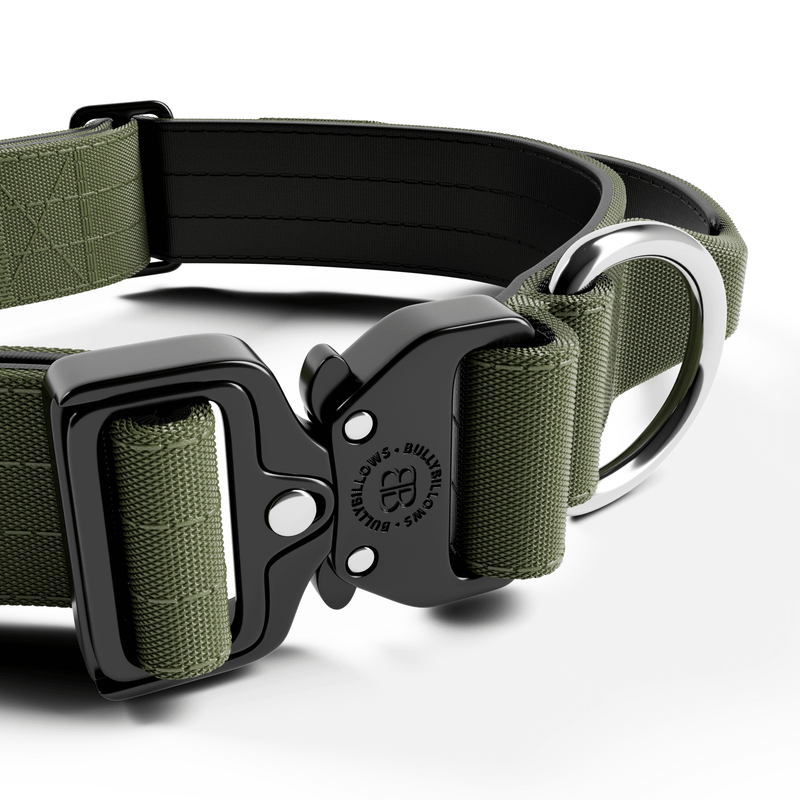 4cm Combat® Collar | Handle & Rated Clip -  Khaki
