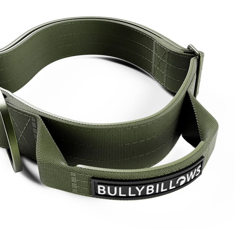 4cm LIGHTER Combat® Collar | With Handle Rated Clip - Khaki x Khaki