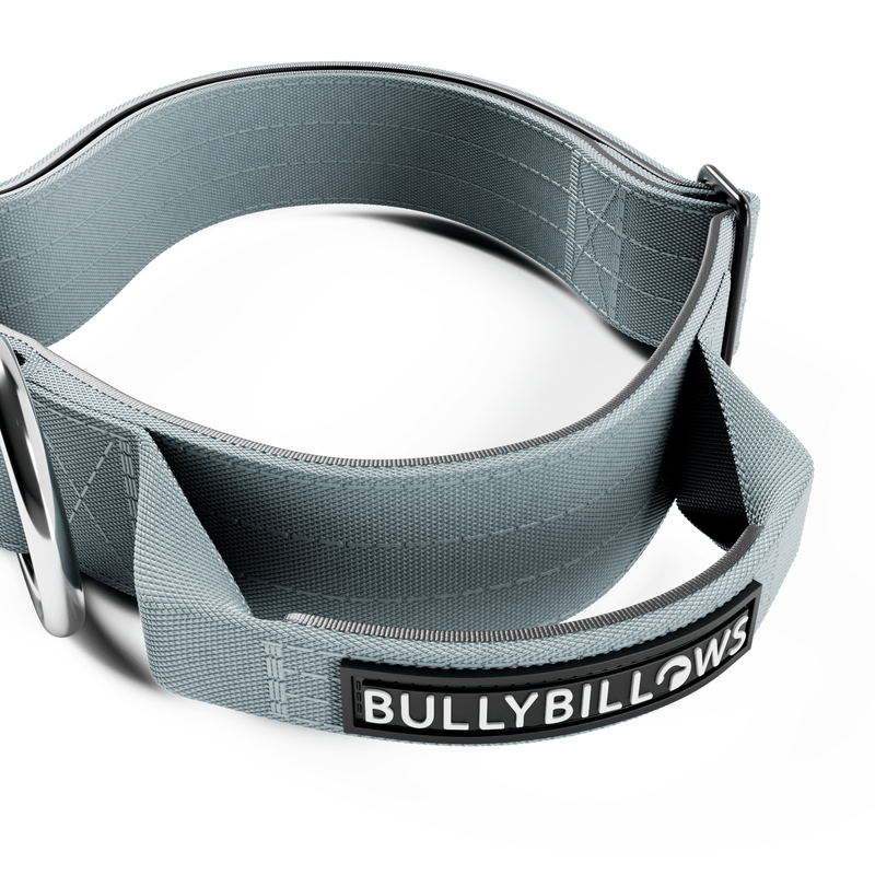 4cm Combat® Collar | With Handle & Rated Clip - Metal Grey