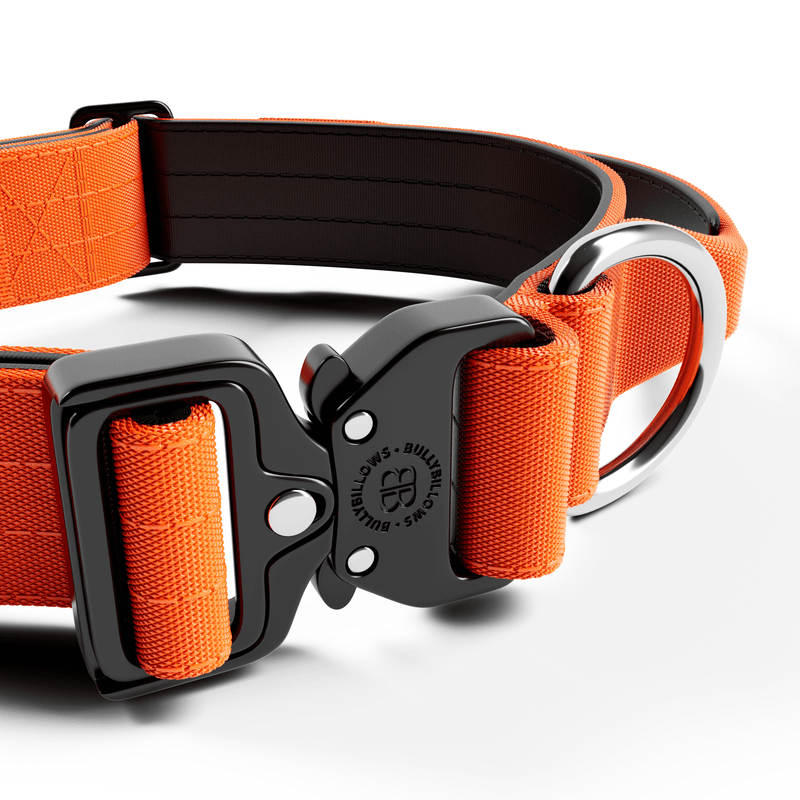4cm Combat® Collar | Handle & Rated Clip - Orange