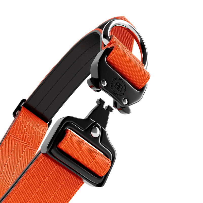 4cm Combat® Collar | Handle & Rated Clip - Orange
