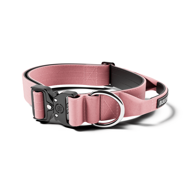 4cm Combat® Collar | With Handle & Secured Clip - Pink