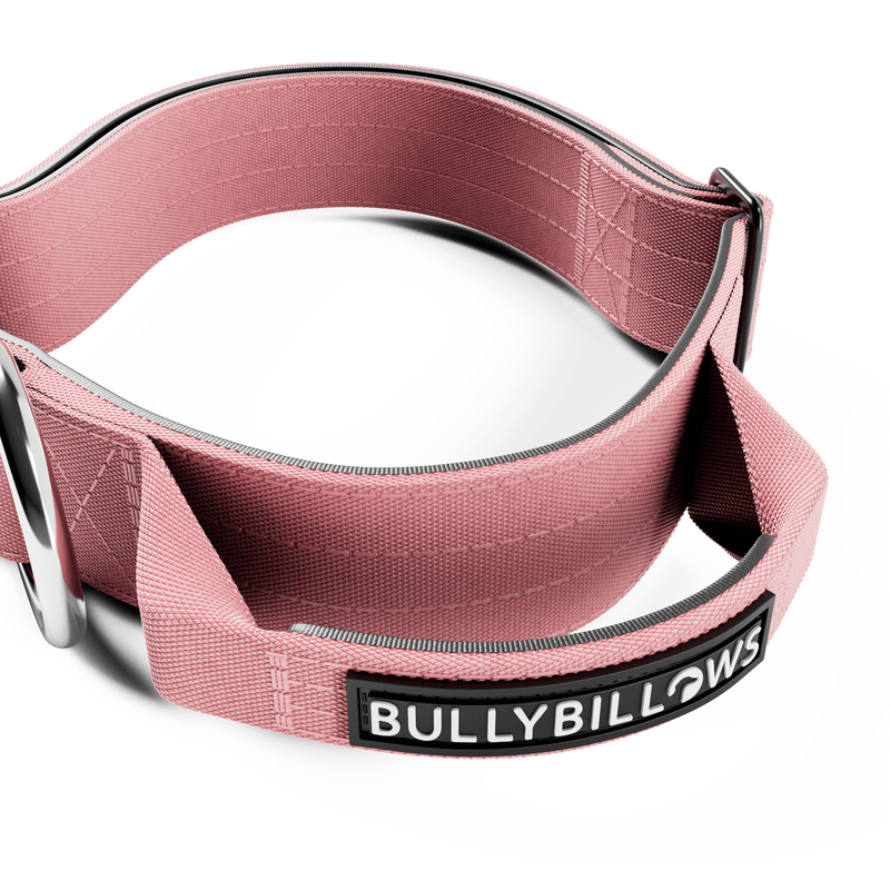 4cm Combat® Collar | Handle & Rated Clip - Pink