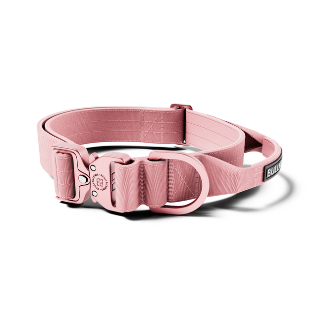4cm LIGHTER Combat® Collar | With Handle & Secure Clip - Pink x Pink