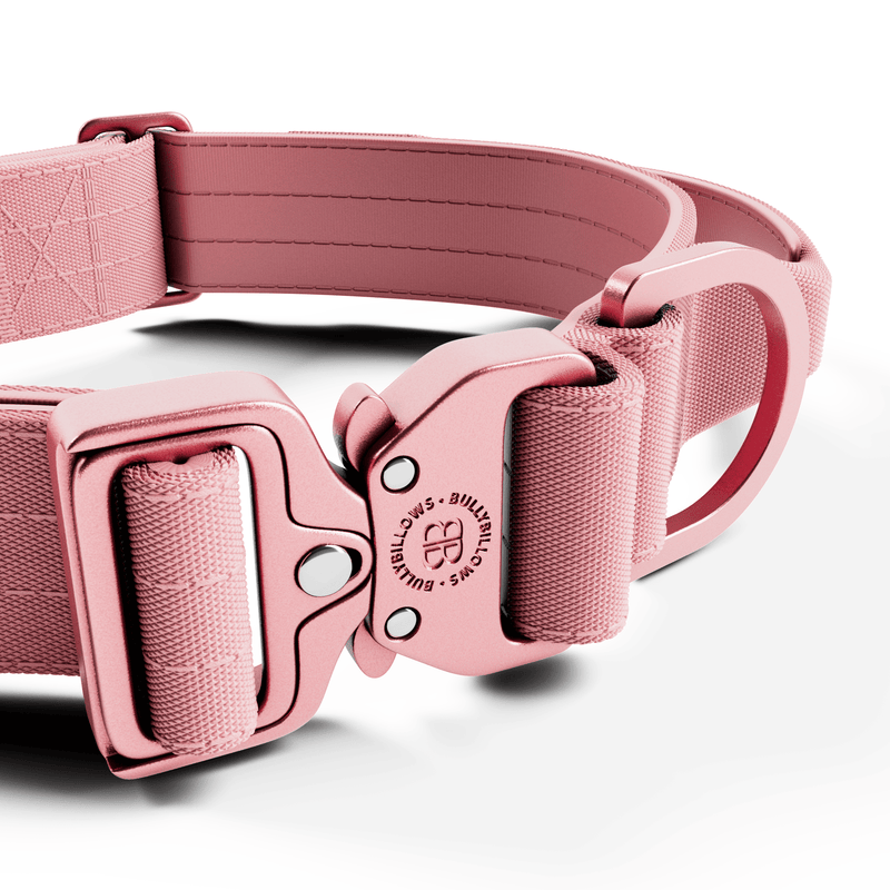 4cm LIGHTER Combat® Collar | Handle Rated Clip - Pink x Pink