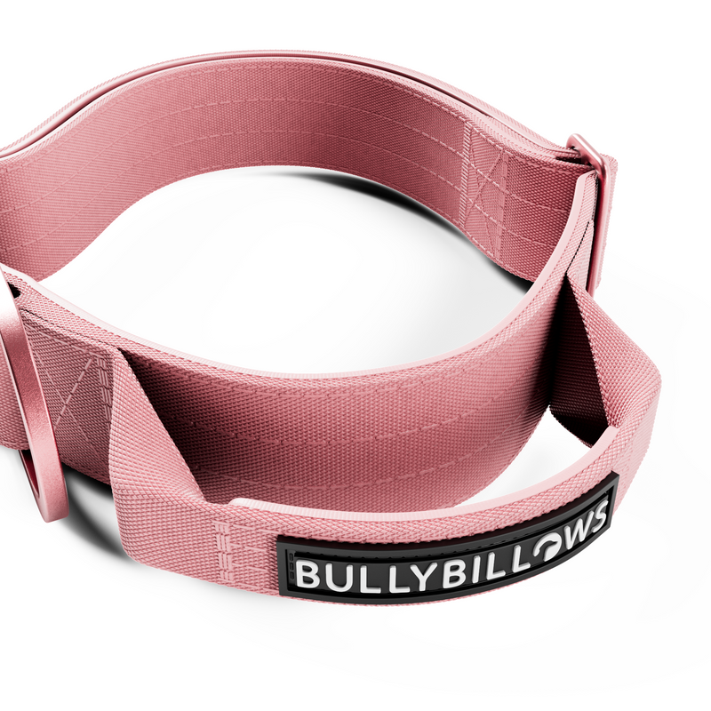 4cm LIGHTER Combat® Collar | Handle Rated Clip - Pink x Pink