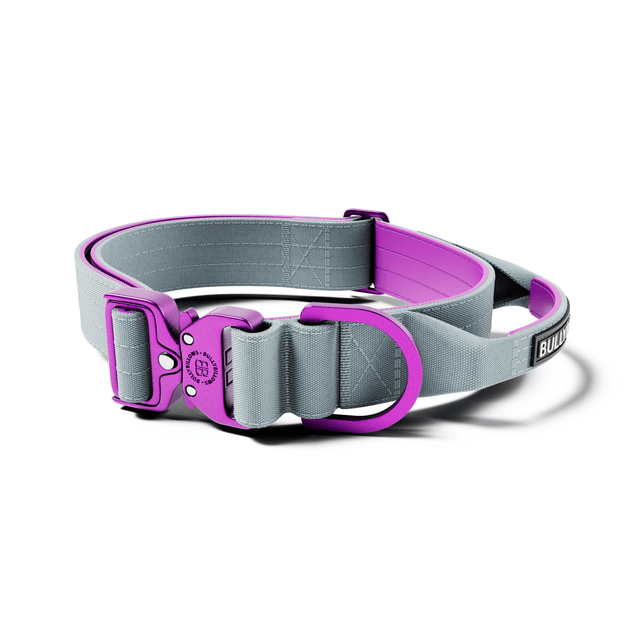 4cm LIGHTER Combat® Collar | With Handle & Secure Clip - Purple & Metal Grey