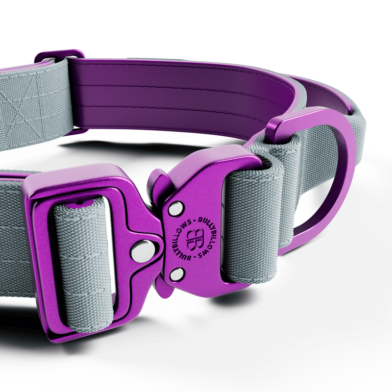 4cm LIGHTER Combat® Collar | Handle Rated Clip - Purple & Metal Grey