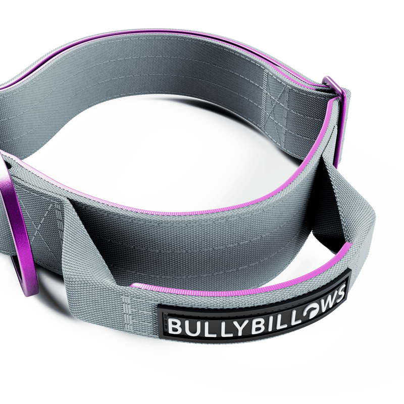 4cm LIGHTER Combat® Collar | With Handle Rated Clip - Purple & Metal Grey