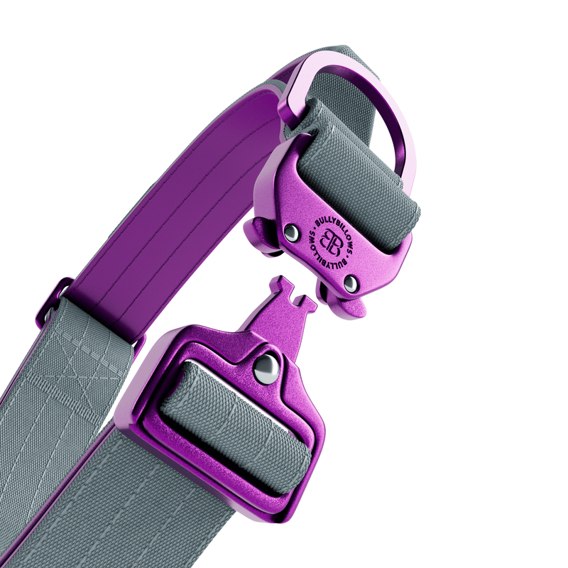 4cm LIGHTER Combat® Collar | Handle Rated Clip - Purple & Metal Grey