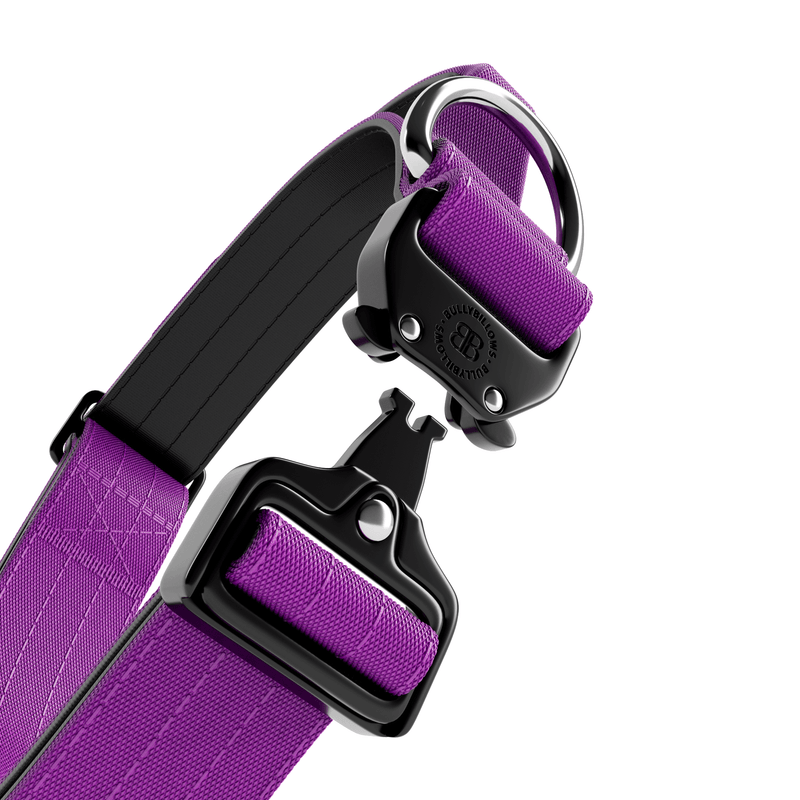 4cm Combat® Collar | Handle & Rated Clip - Purple