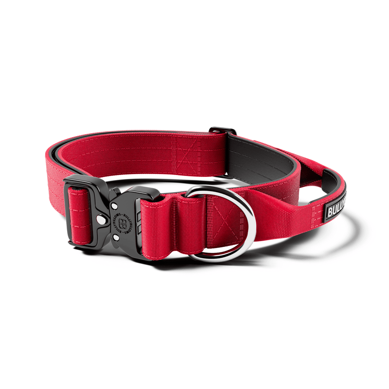 4cm Combat® Collar | Handle & Rated Clip - Red