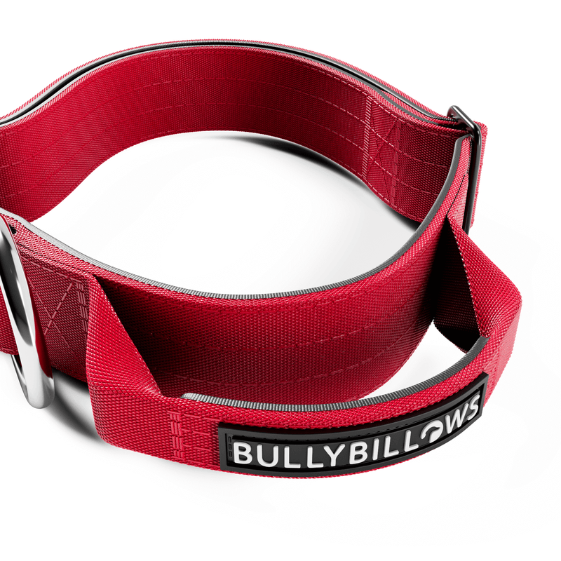 4cm Combat® Collar | Handle & Rated Clip - Red