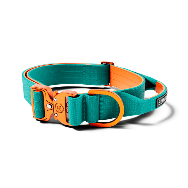 4cm LIGHTER Combat® Collar | With Handle & Secure Clip - Turquoise & Orange