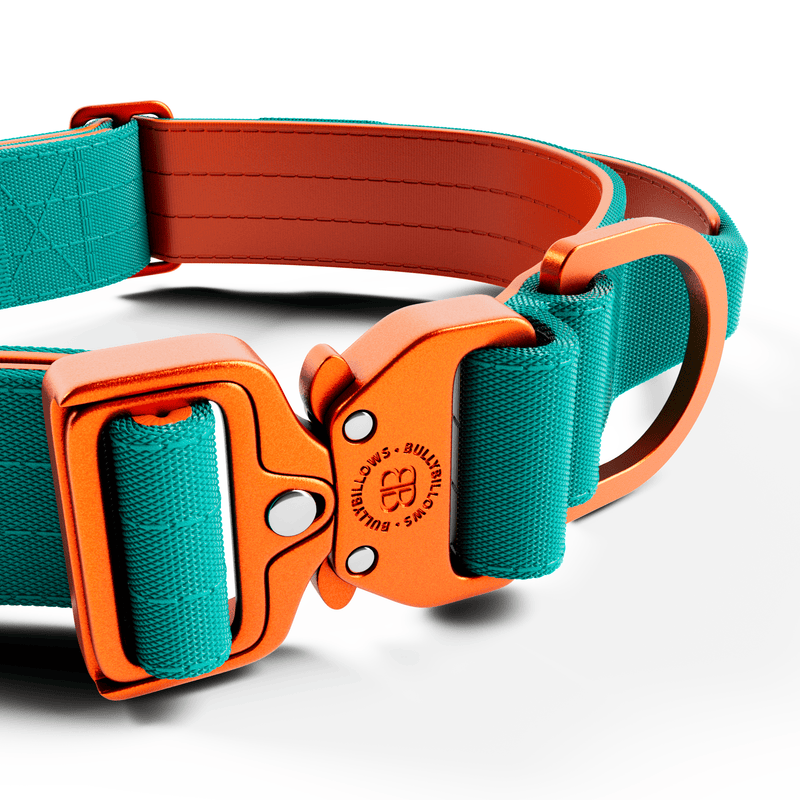 4cm LIGHTER Combat® Collar | Handle Rated Clip - Turquoise & Orange