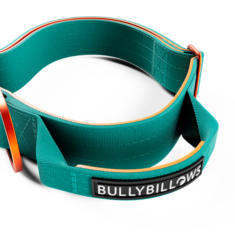 4cm LIGHTER Combat® Collar | With Handle Rated Clip - Turquoise & Orange