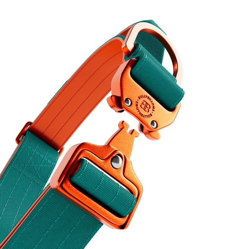 4cm LIGHTER Combat® Collar | With Handle Rated Clip - Turquoise & Orange