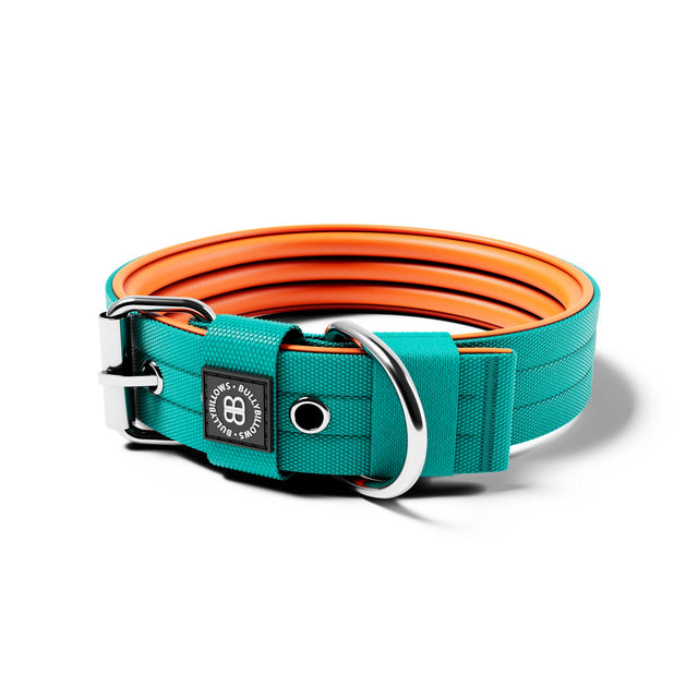 4cm Nylon Dog Collar | No Handle - Turquoise & Orange