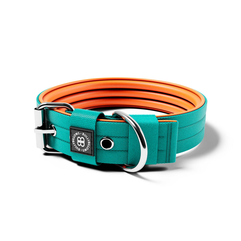 4cm Nylon Dog Collar | NO Handle - Turquoise & Orange