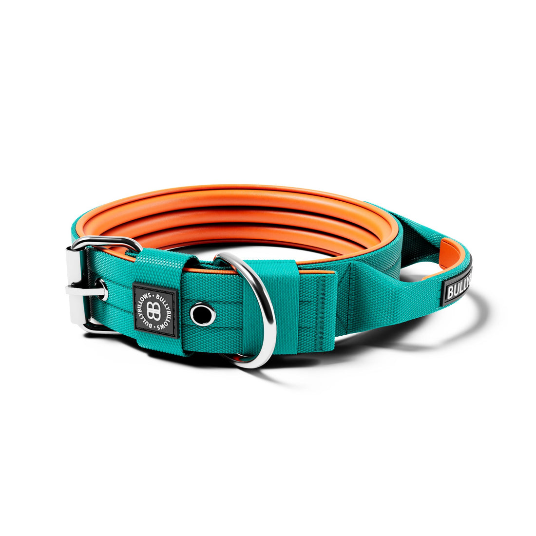featured image of 4cm Nylon Dog Collar | With Handle - Turquoise & Orange