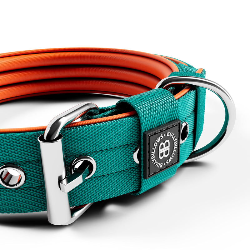 4cm Nylon Dog Collar | NO Handle - Turquoise & Orange