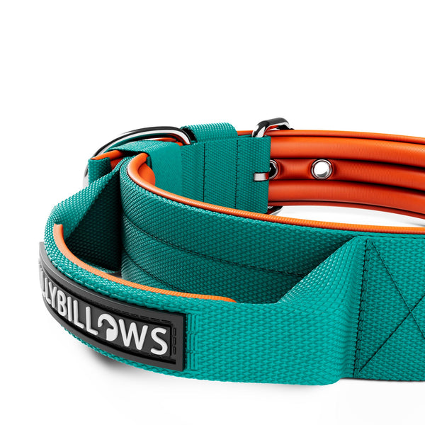 4cm Nylon Dog Collar | With Handle - Turquoise & Orange