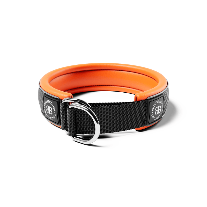 4cm Slip on Collar | Foam Padded - Black x Orange