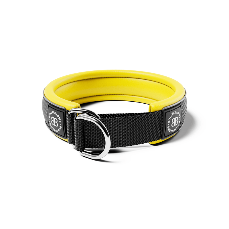 4cm Slip on Collar | Foam Padded - Black x Yellow