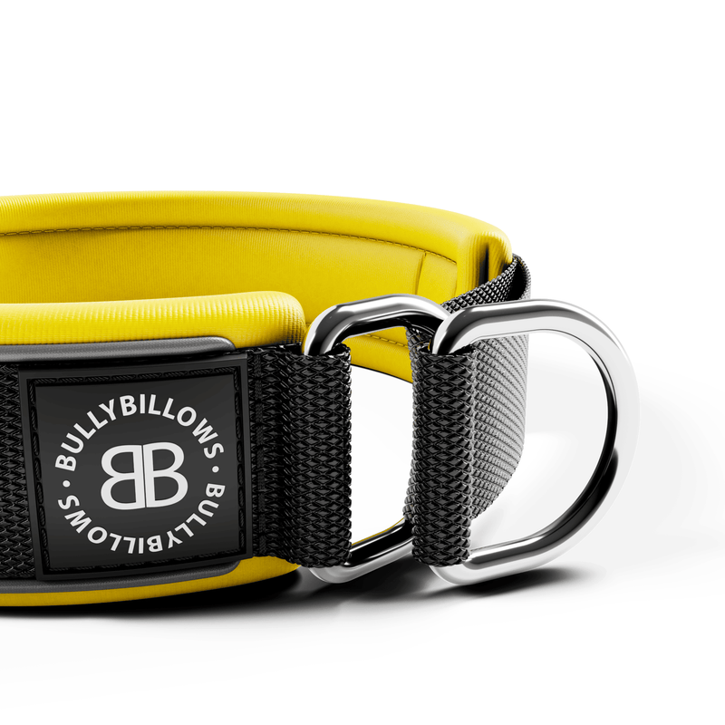 4cm Slip on Collar | Foam Padded - Black x Yellow