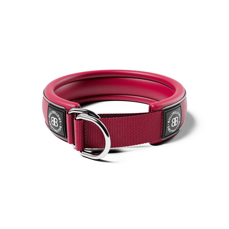 4cm Slip on Collar | Foam Padded - Burgundy