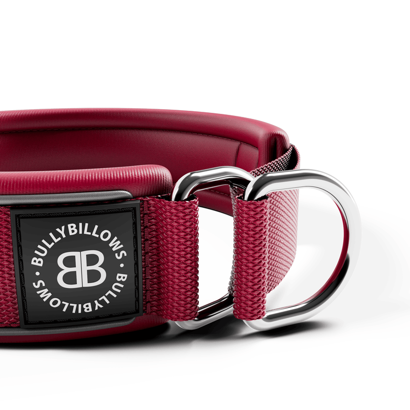 4cm Slip on Collar | Foam Padded - Burgundy