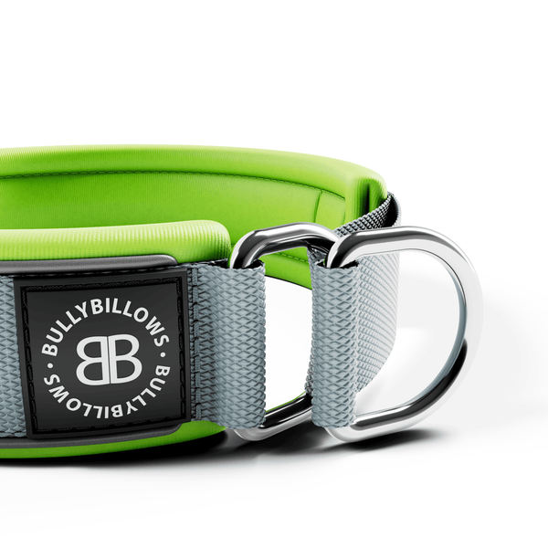 5cm Slip on Collar | Foam Padded - Metal Grey x Neon